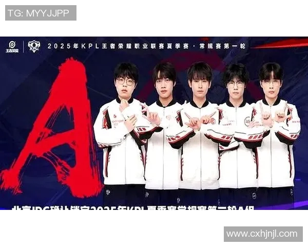 王者荣耀灵活性排名创新高JDG战队展现出色团队配合与战术调整能力实时数据